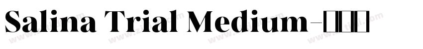 Salina Trial Medium字体转换